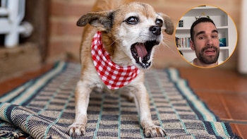 Marcos, estudiante de veterinaria: “La