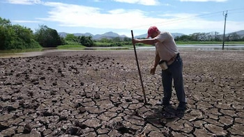 Alerta alimentaria en Honduras: 79,8% de hogares del Corredor Seco tiene poco margen para comprar comida