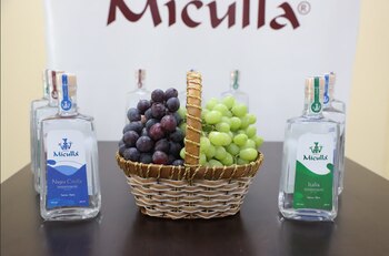 Botellas de pisco.