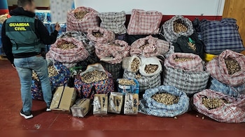 Detenidos tres hombres por robar