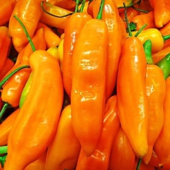 Con 47,04%, el ají amarillo escabeche fue el producto que más subió de precio.