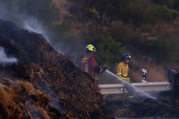 Miembros del Cuerpo de Bomberos de Córdoba durante los trabajos de extinción. (EFE/Salas)