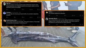 Comentarios rechazando la actitud de