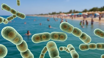 Emiten alerta sanitaria en tres playas de Florida por altos niveles de bacterias fecales