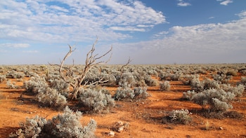 El desierto de Australia. (Canva)