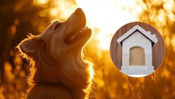 Abren el primer crematorio municipal