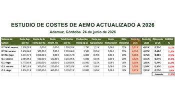 Gráfico del estudio de costes de la producción del aceite de oliva de AEMO actualizado a 2026 (AEMO)
