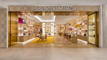 Louis Vuitton llevó el caso