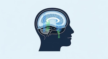Ilustración de perfil de una cabeza humana; el cerebro muestra capas translúcidas, una oscura y una clara, con líneas verticales azules y verdes.
