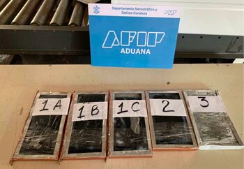 2022: polvo enviado dentro de