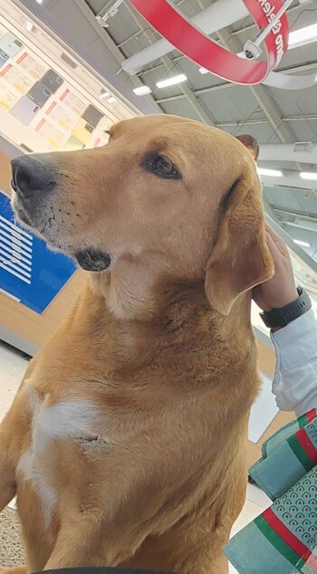 Fotografía de Elektro compartida por