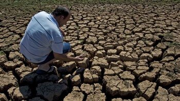 Niño Global causaría sequías y