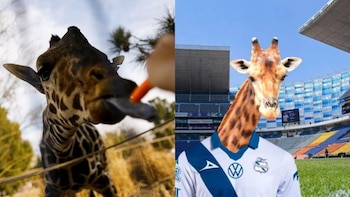 Benito arribó al Parque Central