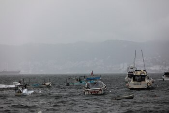 (Foto: EFE/ David Guzmán/Archivo)