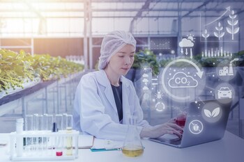 El proceso de análisis de