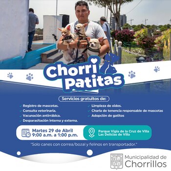 Es recomendable que los asistentes