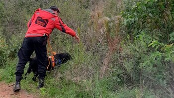 La búsqueda, cuando los efectivos