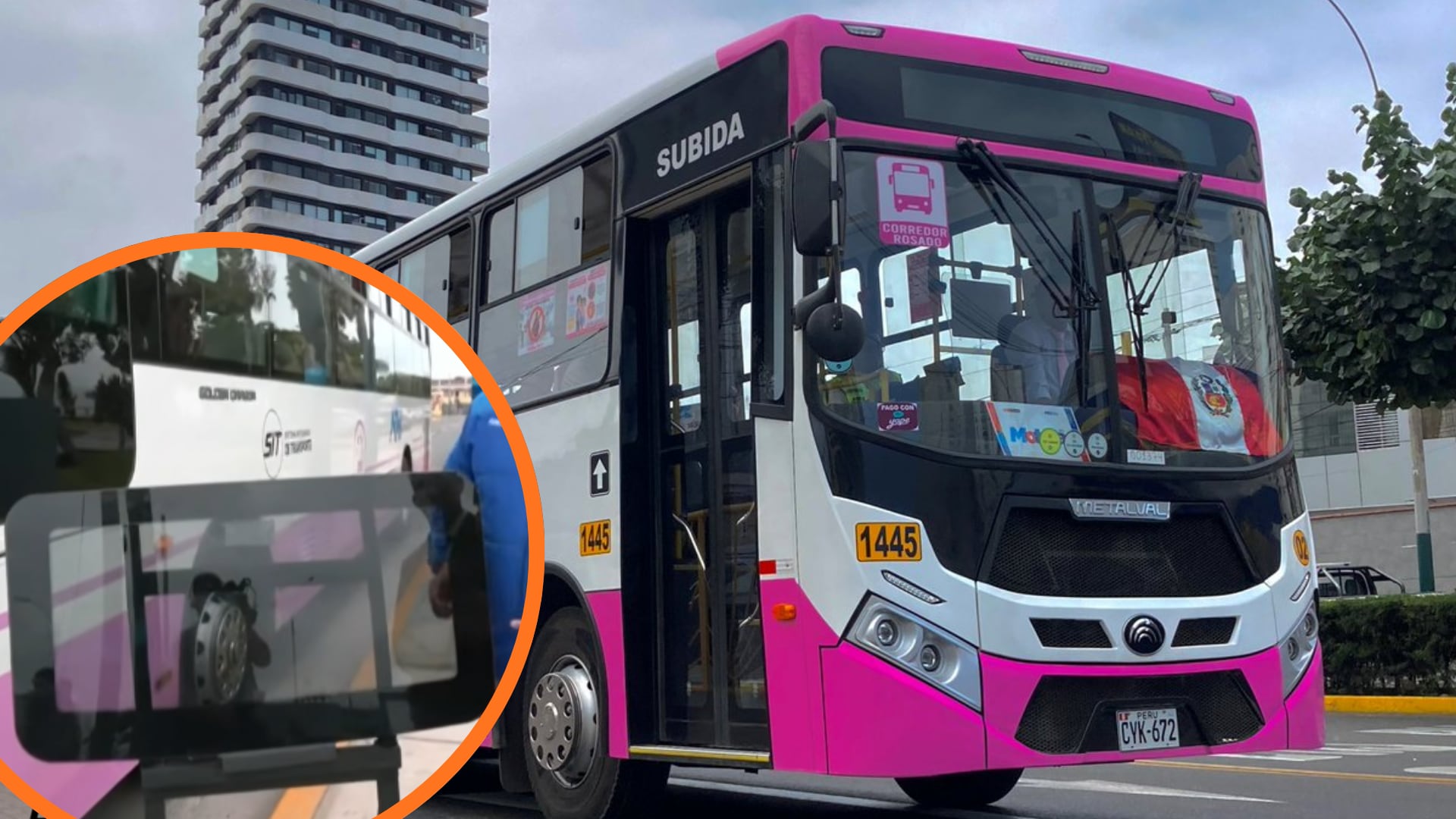 Un vehículo del Corredor Rosado circula en el Callao tras anunciarse la colocación de lunas reforzadas y placas metálicas en 50 unidades para prevenir ataques extorsivos. (Composición: Infobae Perú)