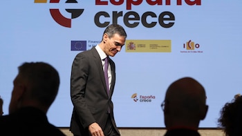 El Gobierno pedirá a la