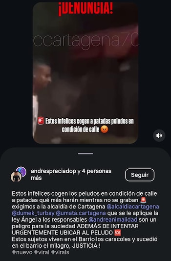 La denuncia de Andrés Preciado generó indignación y reclamos de acciones concretas a las autoridades de Cartagena - crédito andrespreciadop / Instagram