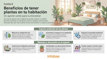 Infografía titulada Beneficios de tener plantas en tu habitación, con ilustración de un dormitorio con varias plantas y seis recuadros con iconos y texto.
