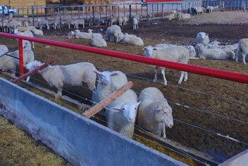 Investigadores implementaron un nuevo sistema