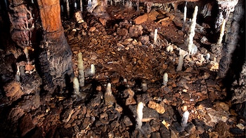 La cueva de Cantabria que estuvo bloqueada milenios y que ha conservado una vivienda de la Edad de Piedra con 4.600 objetos porque sus dueños “lo dejaban todo tirado”