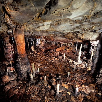El yacimiento de La Garma en una cueva cántabra (Universidad de Cantabria)
