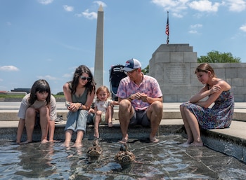 Millones de personas están bajo advertencia por calor extremo en California, Nevada, Oregón y Washington desde el 15 de junio, según el Servicio Meteorológico Nacional de Estados Unidos. (REUTERS/Evelyn Hockstein)