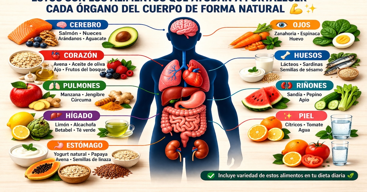 Estos son los alimentos que ayudan a fortalecer cada órgano del cuerpo de forma natural - Infobae