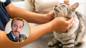 Ignacio de la Calzada, abogado: