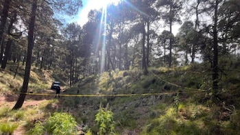 Senderistas paseaban en el bosque y encontraron un cadáver en el Parque Nacional Iztaccíhuatl-Popocatépetl, en Edomex