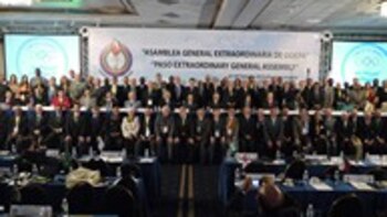 On the Scene in Kingston