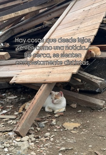 El barrio La Cima, en Buenaventura, concentró casas destruidas y otras con daños estructurales tras el movimiento sísmico - crédito @triannacamilo/IG