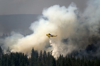 La emergencia por incendios forestales dejó la muerte de Jason Ensign en Oregón, destruyó 26 estructuras en Washington y obligó a cientos de personas a evacuar con apoyo de refugios temporales. (AP Foto/Noah Berger)