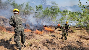 Incendio de grandes proporciones afecta parque nacional Celaque en Honduras