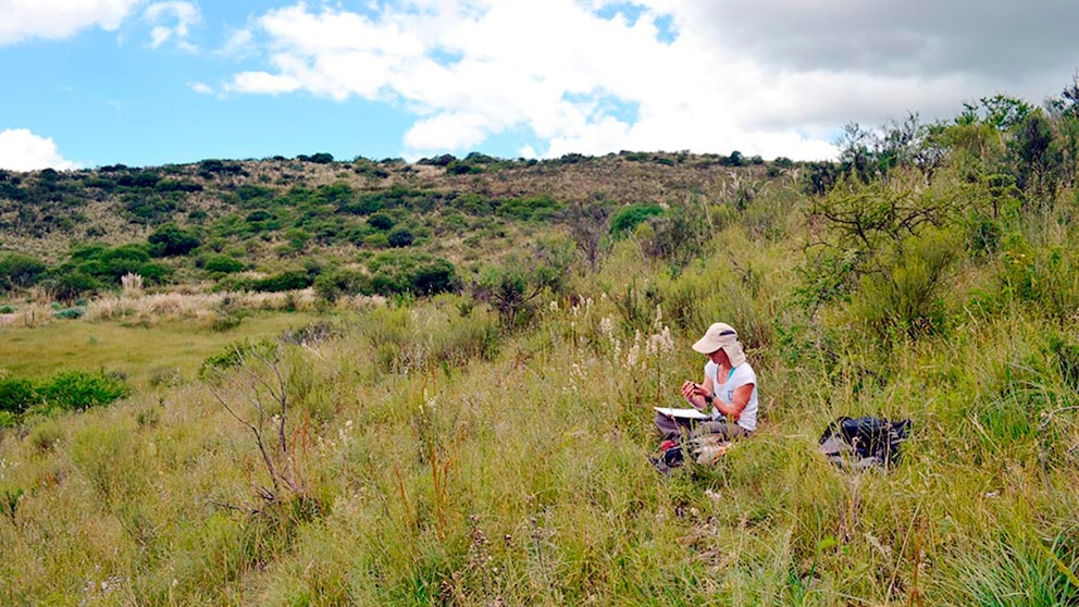 biodiversidad