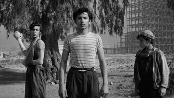 Miseria en los barrios, drama