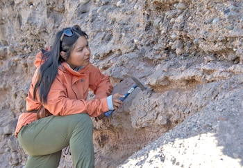 Un diente de capibara de 9 millones de años cuestiona la aridez histórica del desierto de Atacama