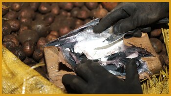 Incautaron mil millones de pesos