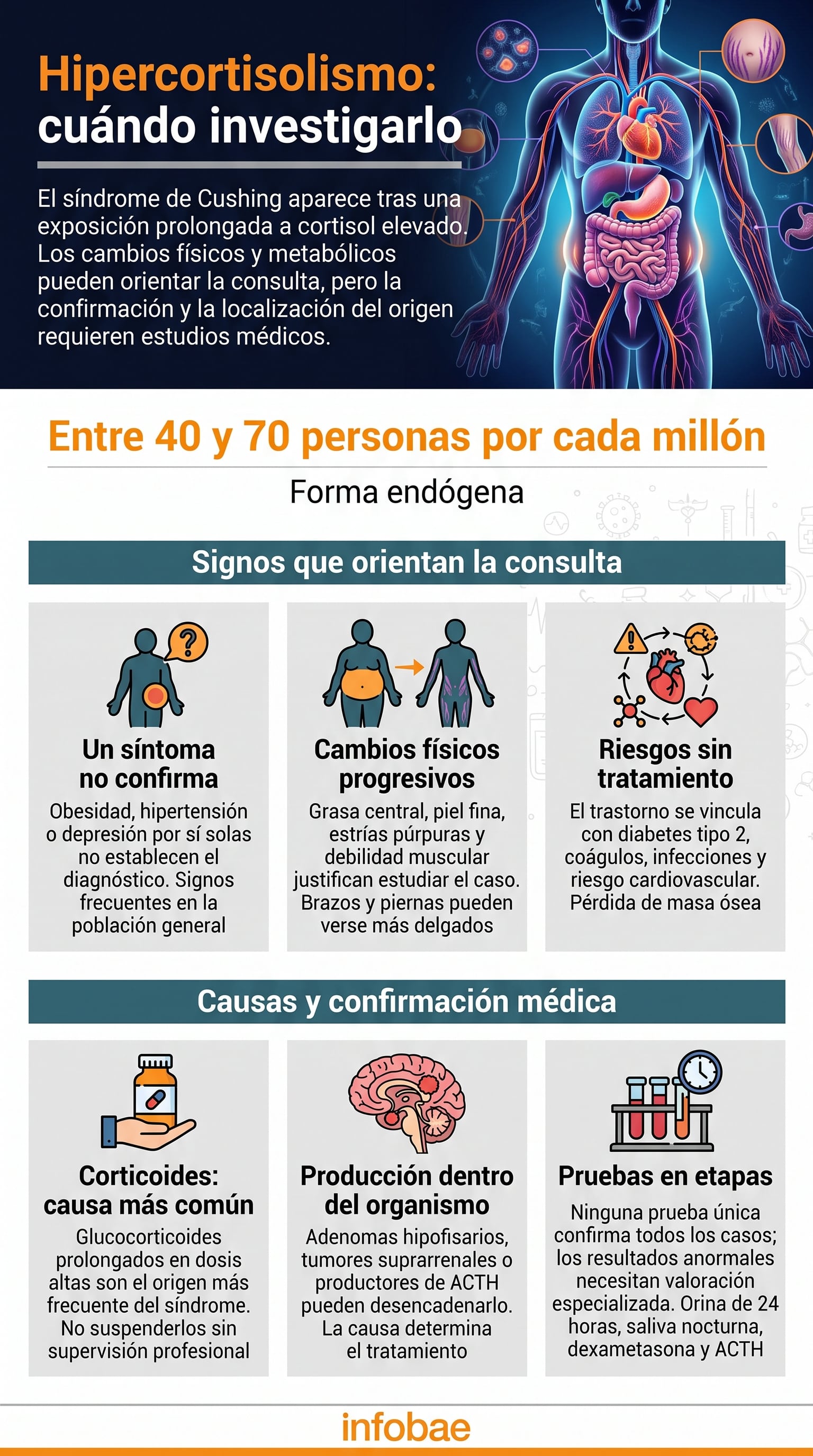 El cortisol participa en la regulación de la glucosa, la presión arterial y la respuesta inflamatoria. (Imagen Ilustrativa Infobae)