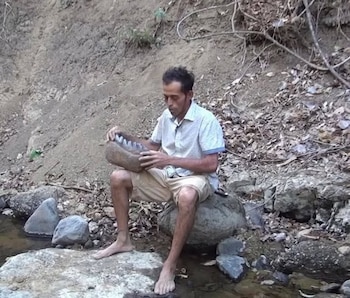 Hallazgos de fósiles animales en el río Tomayate