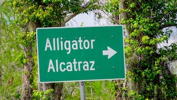 Cierra el 'Alcatraz de los caimanes' en Florida (EEUU) menos de un año después de su inauguración