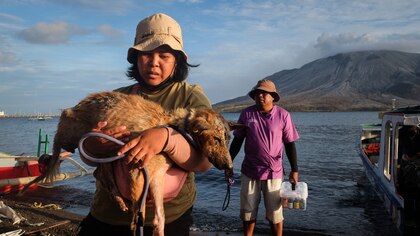 Valiente rescate en FOTOS: voluntarios salvan a mascotas abandonadas tras erupción del Monte Ruang