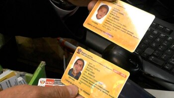 Los miembros activos de la