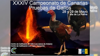 El cartel del último campeonato