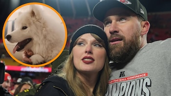 ¿La perrita de Travis Kelce y Taylor Swift hizo su debut en una pasarela? Esto se sabe del desfile de Tommy Hilfiger