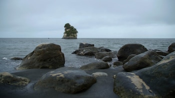 Autoridades investigan su deceso -