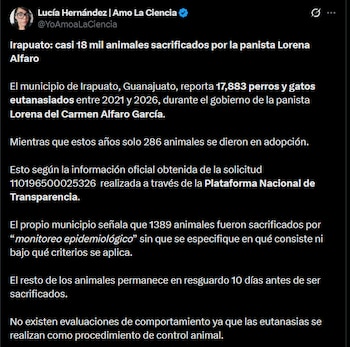 La información revela la ausencia de una estrategia integral que promueva la adopción, la esterilización y la educación sobre tenencia responsable de mascotas