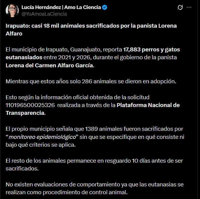 La información revela la ausencia de una estrategia integral que promueva la adopción, la esterilización y la educación sobre tenencia responsable de mascotas (X: @YoAmoaLaCiencia)